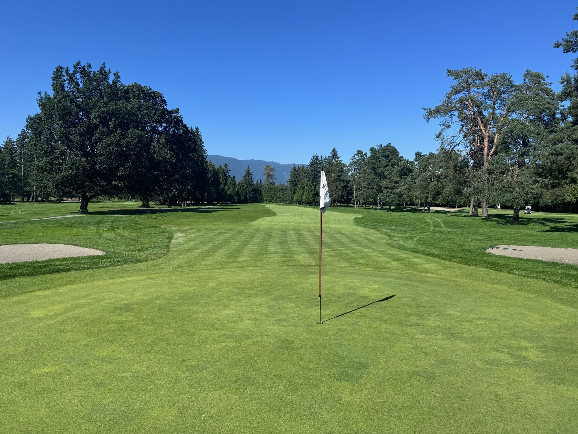 14-Green-Pitt-Meadows-Golf-Club